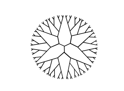 樹(shù)枝狀聚賴(lài)氨酸